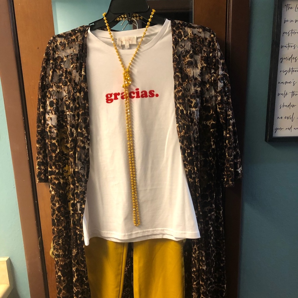 Sheer cheetah  print duster